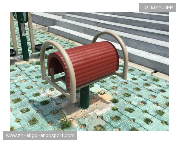 带圆盘设计的健身器材适合做什么锻炼